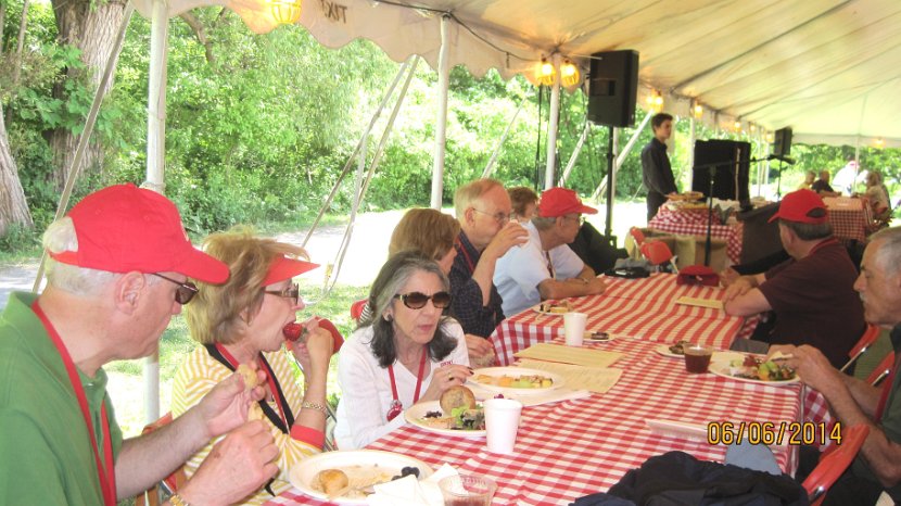 20.2.47 picnic-pat-IMG_5755.jpg